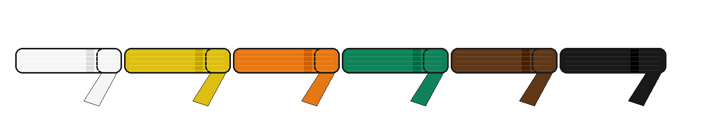 Belt progression